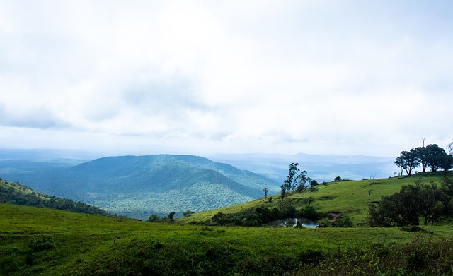 精彩纷呈的 精彩纷呈的